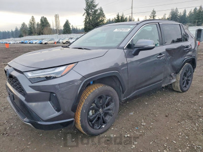 Toyota Rav4 2024 4T3T6RFV1RU159556