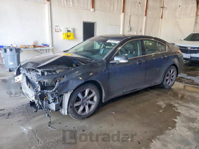Acura Tl 2013 19UUA8F52DA003502