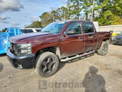 Gmc SIERRA 2024 3GTP2VE32BG202930