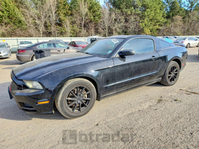 Ford Mustang 2014 1ZVBP8AM2E5331917