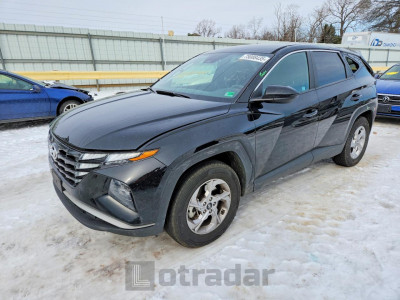 Hyundai Tucson 2024 5NMJBCDE9RH302888