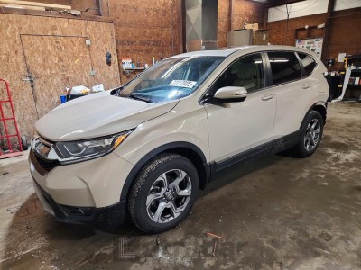 Honda Cr-v 2019 2HKRW2H56KH617703