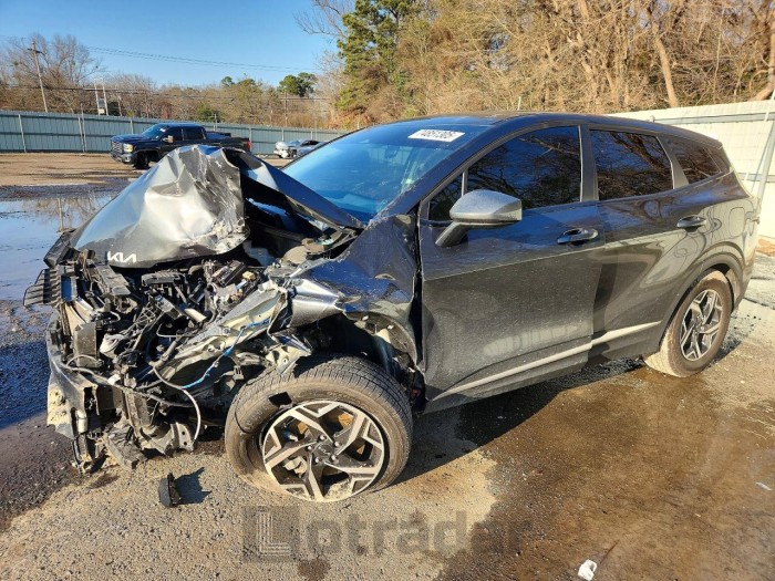 Kia Sportage 2024 VIN KNDPUCDF7R7288977