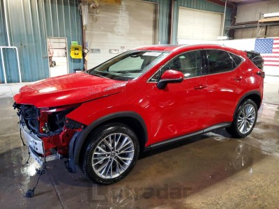 Lexus Nx 2025 VIN 2T2GKCEZ4SC054911