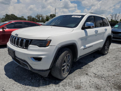 Jeep Grand cherokee 2019 1C4RJEBG3KC776409