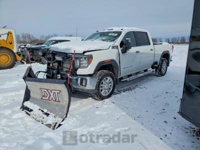 Gmc SIERRA 2020 1GT49NEYXLF150668