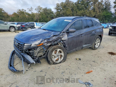 Hyundai Tucson 2024 KM8JB3DE6RU297850