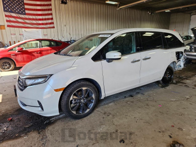 Honda Odyssey 2023 5FNRL6H91PB014277