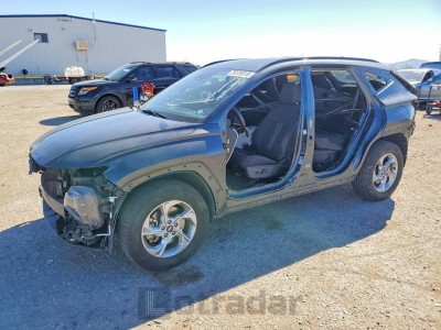 Hyundai Tucson 2024 VIN 5NMJBCDE6RH306039