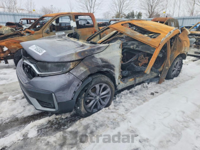Honda Cr-v 2020 2HKRW2H44LH231418