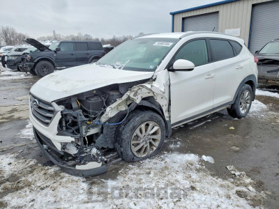Hyundai Tucson 2017 KM8J3CA47HU588025