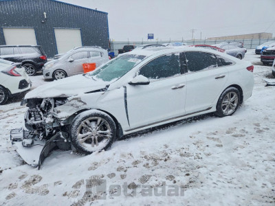 Hyundai Sonata 2019 5NPE34AF5KH796404
