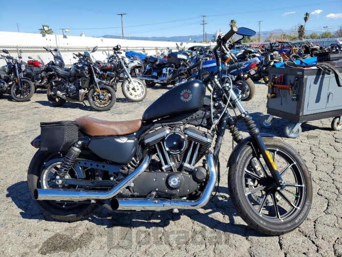 Harley-davidson Xl883 2021 VIN 1HD4LE228MB414611