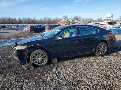 Acura Tl 2014 19UUA8F38EA000135