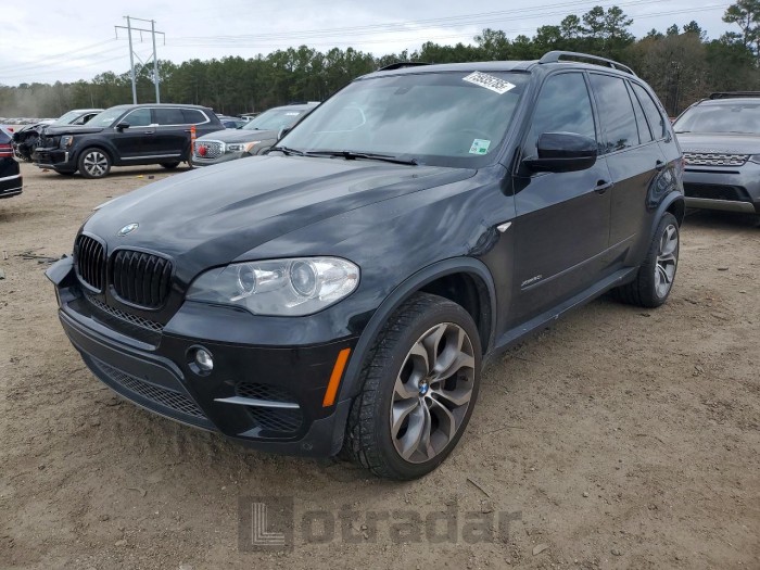 BMW X5 2013 VIN 5UXZV8C53D0C14759