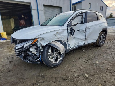 Hyundai Tucson 2024 5NMJBCDE3RH420841