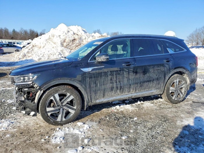 Kia Sorento 2022 VIN KNDRJDLH5N5082251