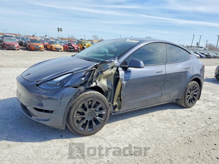 Tesla Model y 2023 VIN 7SAYGDEE9PA165096