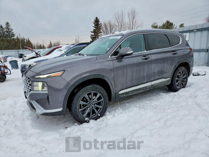 Hyundai Santa fe 2021 VIN KM8S3DA11MU005278