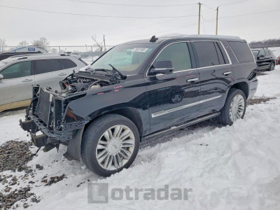 Cadillac Escalade 2017 1GYS4DKJ0HR385409