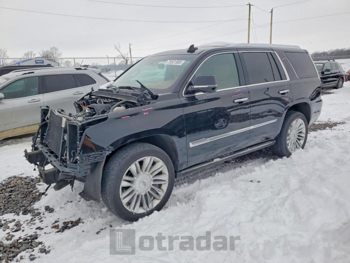 Cadillac Escalade 2017 VIN 1GYS4DKJ0HR385409