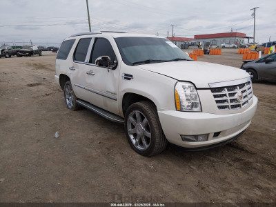 Cadillac Escalade 2013 VIN 1GYS3BEF8DR151334