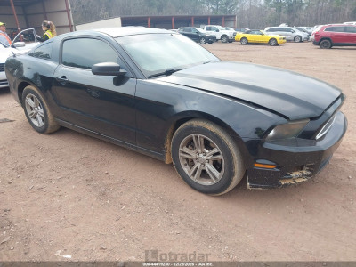 Ford Mustang 2013 1ZVBP8AM3D5259141