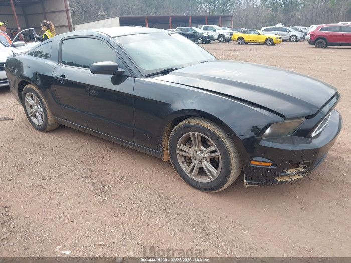 Ford Mustang 2013 VIN 1ZVBP8AM3D5259141