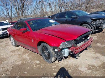 Ford Mustang 2013 1ZVBP8EM0D5235518