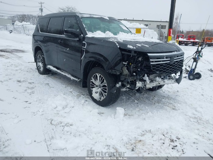 Nissan Armada 2025 VIN JN8AY3BB1S9102309