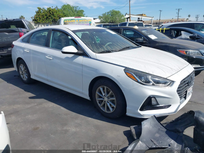 Hyundai Sonata 2019 VIN 5NPE24AF9KH777289