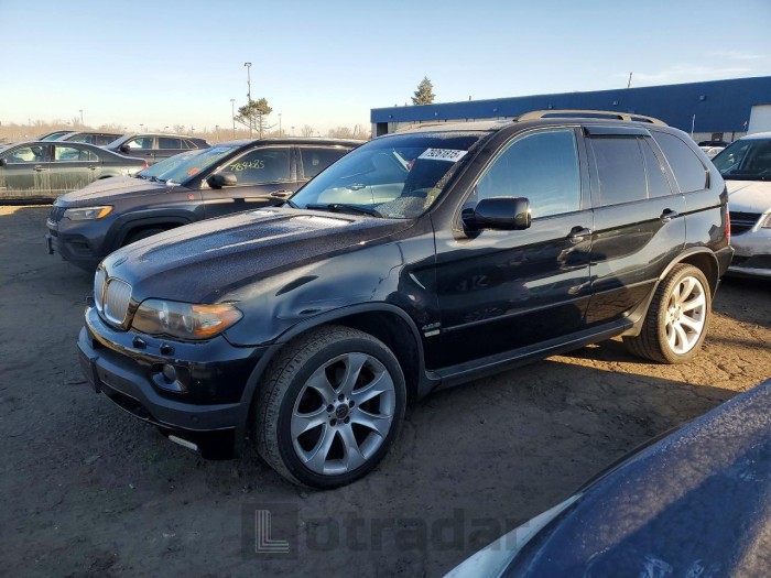 BMW X5 2006 VIN 5UXFA93516LE84272