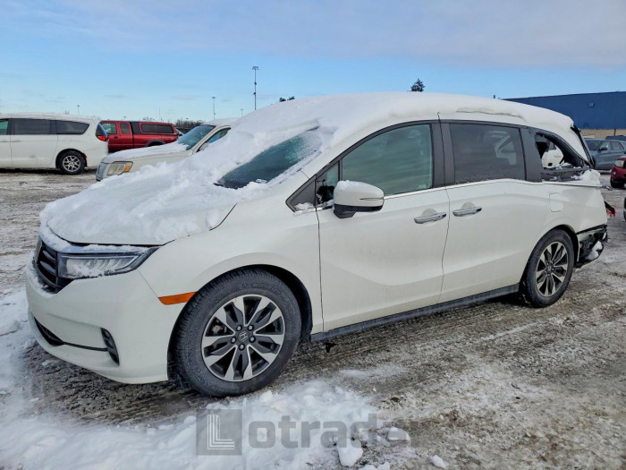 Honda Odyssey 2021 VIN 5FNRL6H77MB020692