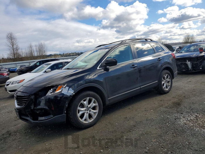 Mazda Cx-9 2013 VIN JM3TB3BV9D0417535