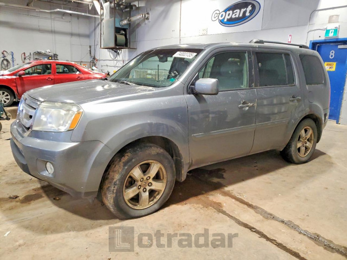 Honda Pilot 2009 VIN 5FNYF48519B501521