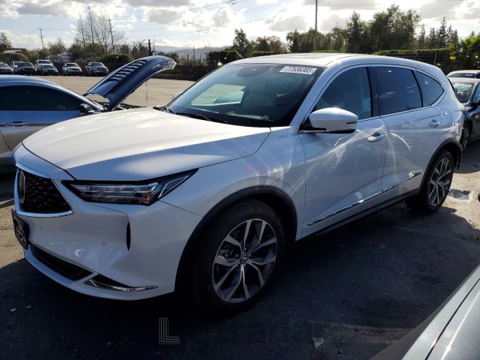Acura Mdx 2024 VIN 5J8YE1H44RL024378