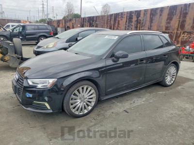 Audi A3 2017 WAUUPBFF0HA110974