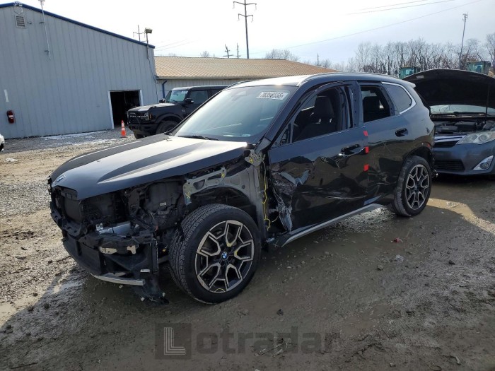 BMW X1 2023 VIN WBX73EF05P5X93113