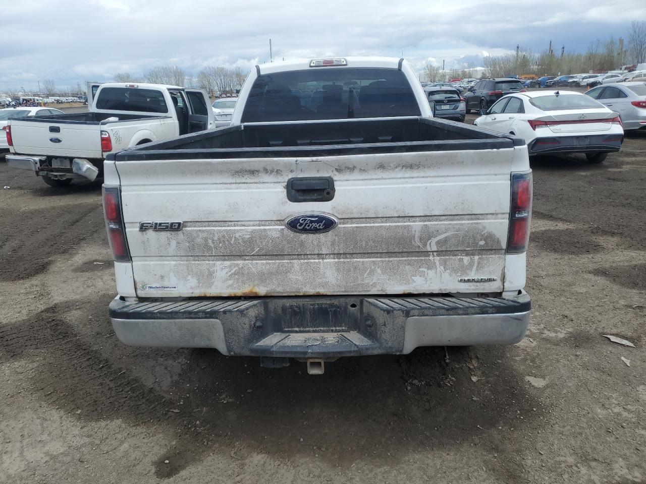 FORD F-150 2014 VIN 1FTVX1EF4EKD96580 фото 6