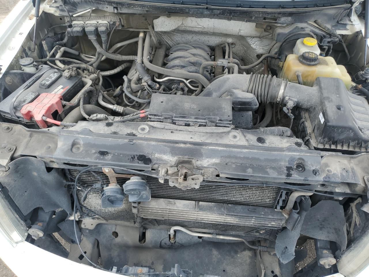 FORD F-150 2014 VIN 1FTVX1EF4EKD96580 фото 11