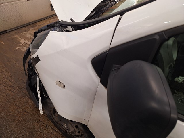 Renault TRAFIC 2019 VIN VF1FL000863435680 фото 14
