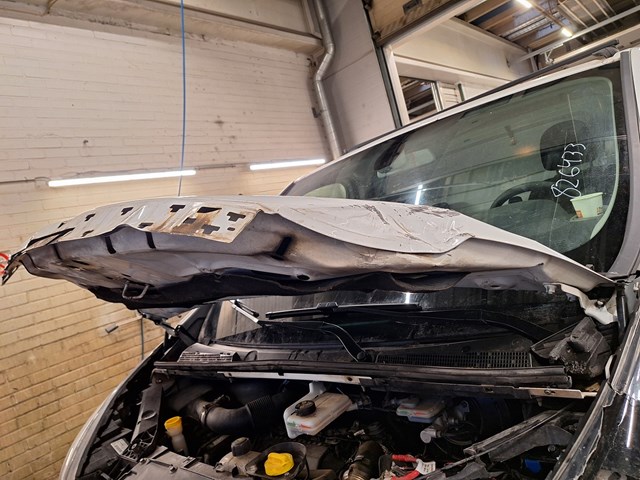 Renault TRAFIC 2019 VIN VF1FL000863435680 фото 15