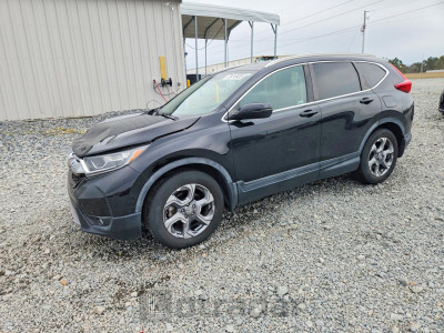 Honda Cr-v 2019 5J6RW1H89KA014475