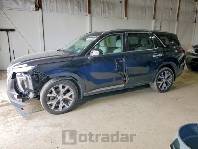 Hyundai Palisade 2020 VIN KM8R4DHE9LU040251