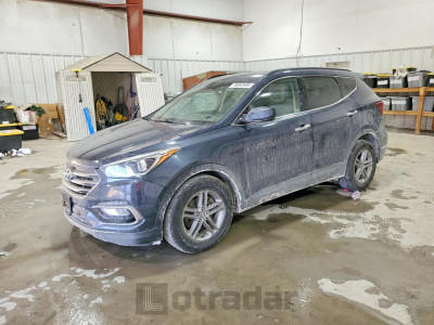 Hyundai Santa fe 2017 5NMZUDLB2HH006989