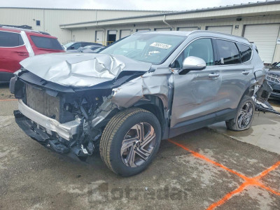 Hyundai Santa fe 2023 5NMS2DAJ0PH624330