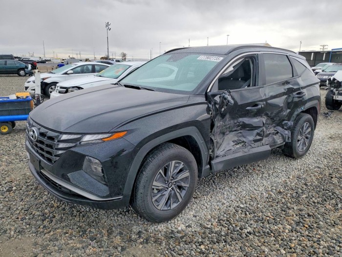 Hyundai Tucson 2023 VIN KM8JBCA14PU101810
