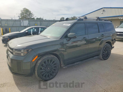 Hyundai Santa fe 2025 5NMP54GL6SH125160