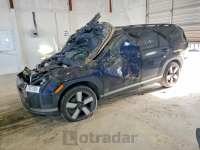 Hyundai Santa fe 2024 5NMP4DGL2RH006986