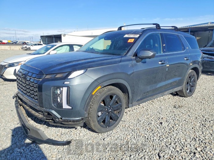 Hyundai Palisade 2025 VIN KM8R3DGE0SU871530